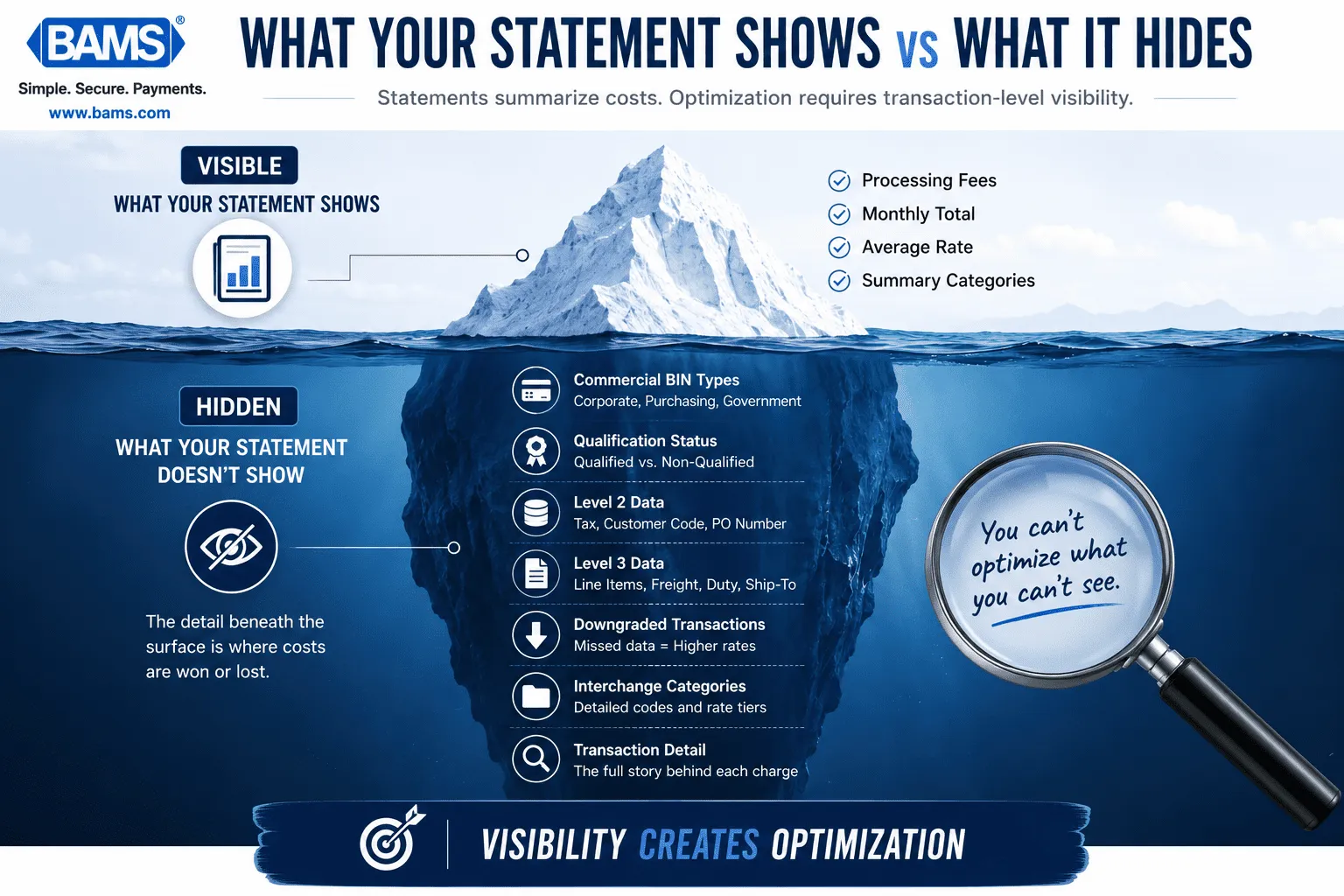 Professional infographic illustrating the visibility gap between summary statement data and the transaction-level detail needed to optimize commercial card processing costs.