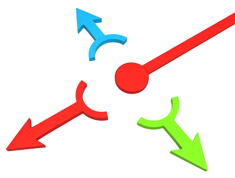 Interchange Fees