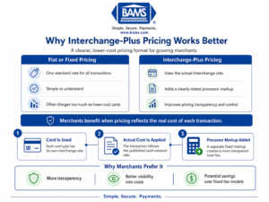 BAMS infographic explaining the different components of payment processing costs including interchange, card network fees and processor markup.