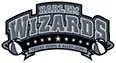 Harlem Wizards