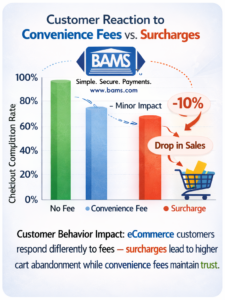 Chart showing impact of credit card surcharge on ecommerce checkout completion rate with 10 percent drop in sales