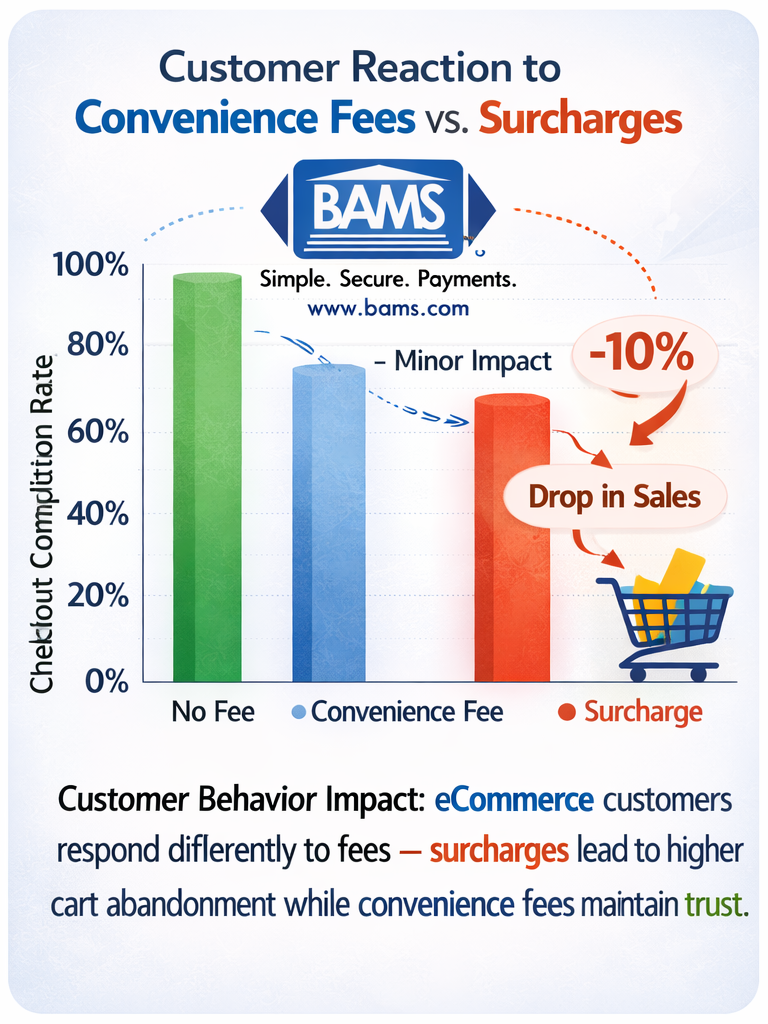 Chart showing impact of credit card surcharge on ecommerce checkout completion rate with 10 percent drop in sales