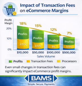 Infographic showing how transaction fees reduce profit margins for eCommerce businesses as sales volume increases