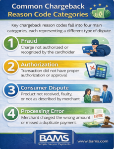 Infographic showing the main chargeback reason code categories including fraud disputes, authorization issues, consumer disputes, and processing errors.