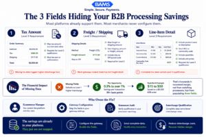 Enterprise fintech infographic showing the three missing ecommerce transaction fields that prevent Level 3 interchange qualification and increase B2B payment processing costs.