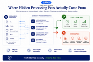 Editorial fintech infographic showing how hidden fees in processing are caused by missing Level 2 and Level 3 data fields that increase the effective processing rate.