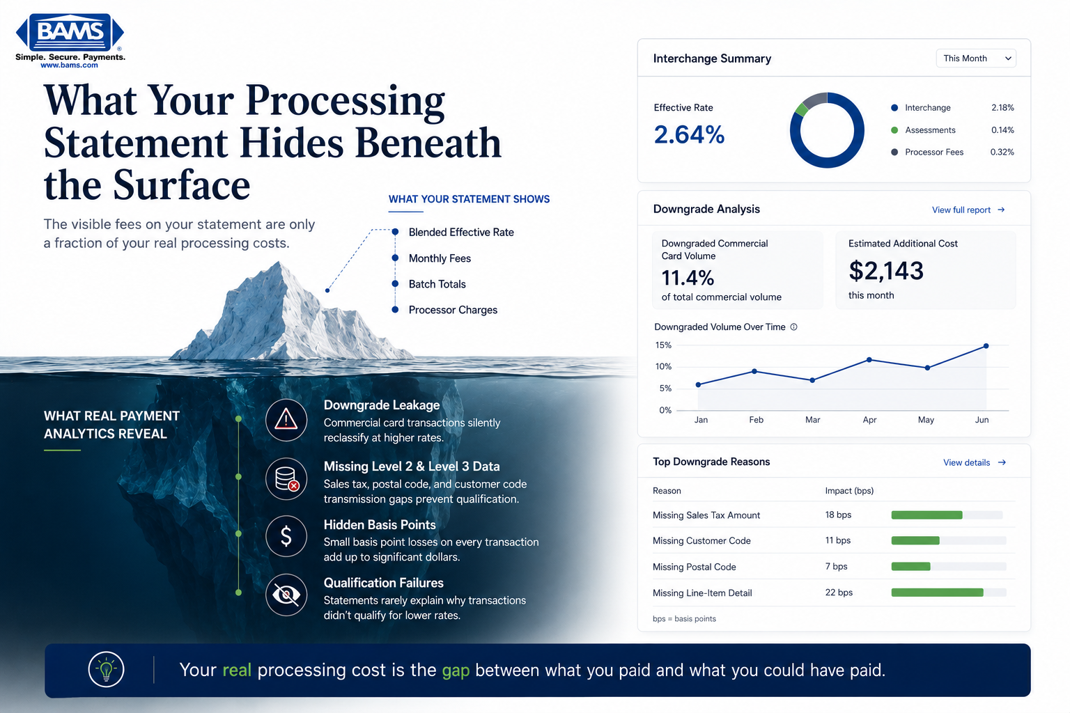 Creative fintech iceberg-style infographic showing visible processing statement information above water and hidden transaction downgrade costs beneath the surface.