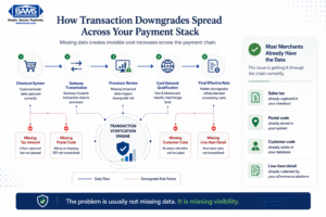 Network-style fintech infographic showing how missing transaction data creates downgrade points across the ecommerce payment ecosystem.