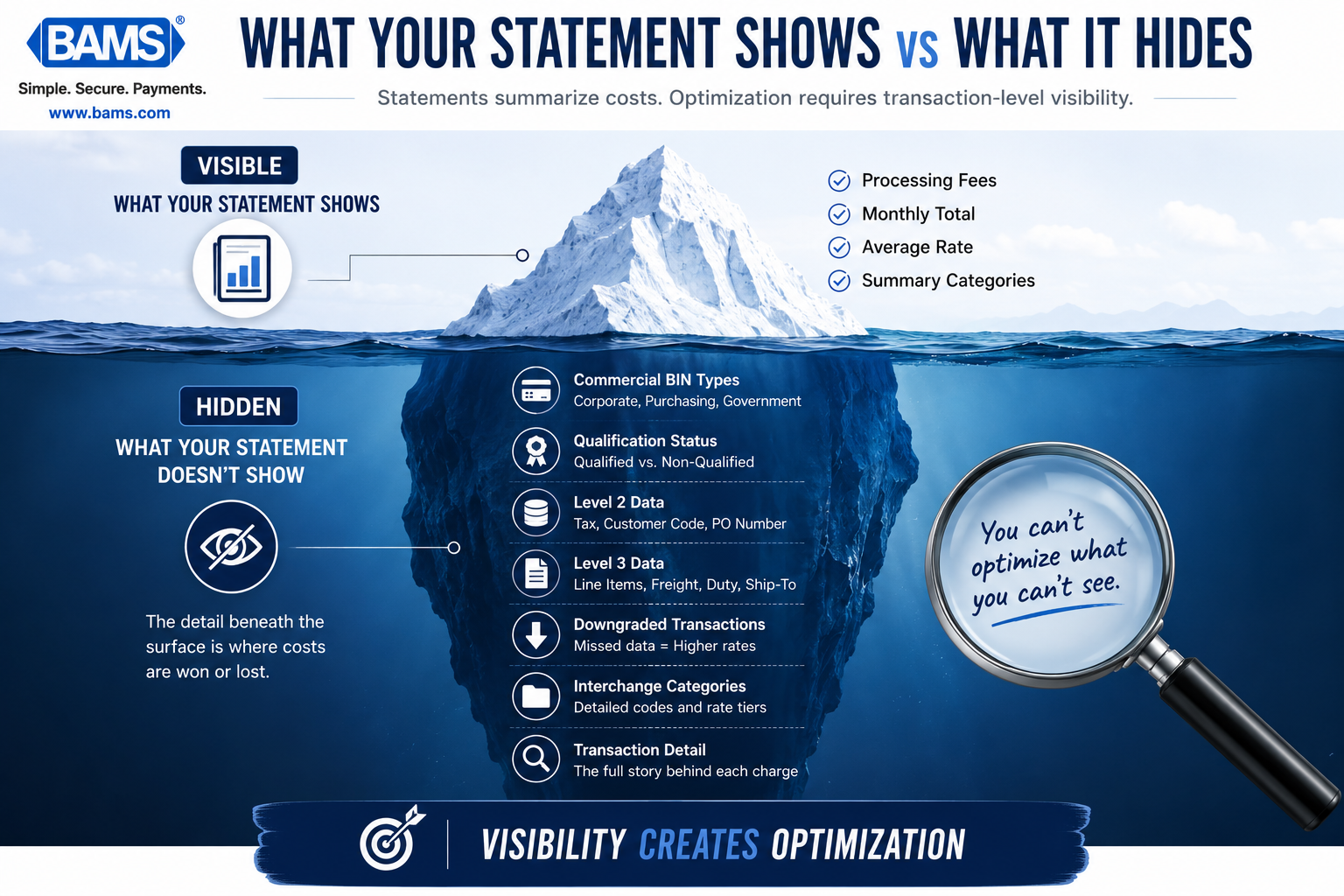 Professional infographic illustrating the visibility gap between summary statement data and the transaction-level detail needed to optimize commercial card processing costs.