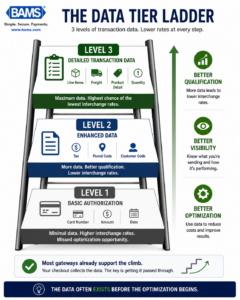 Professional fintech infographic showing the progression from Level 1 to Level 3 transaction data and interchange optimization.
