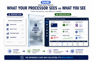 Professional infographic comparing the limited information shown on a merchant statement versus the transaction-level visibility available to payment processors.