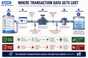 Executive infographic illustrating how transaction data can disappear as it moves from checkout to the processor.