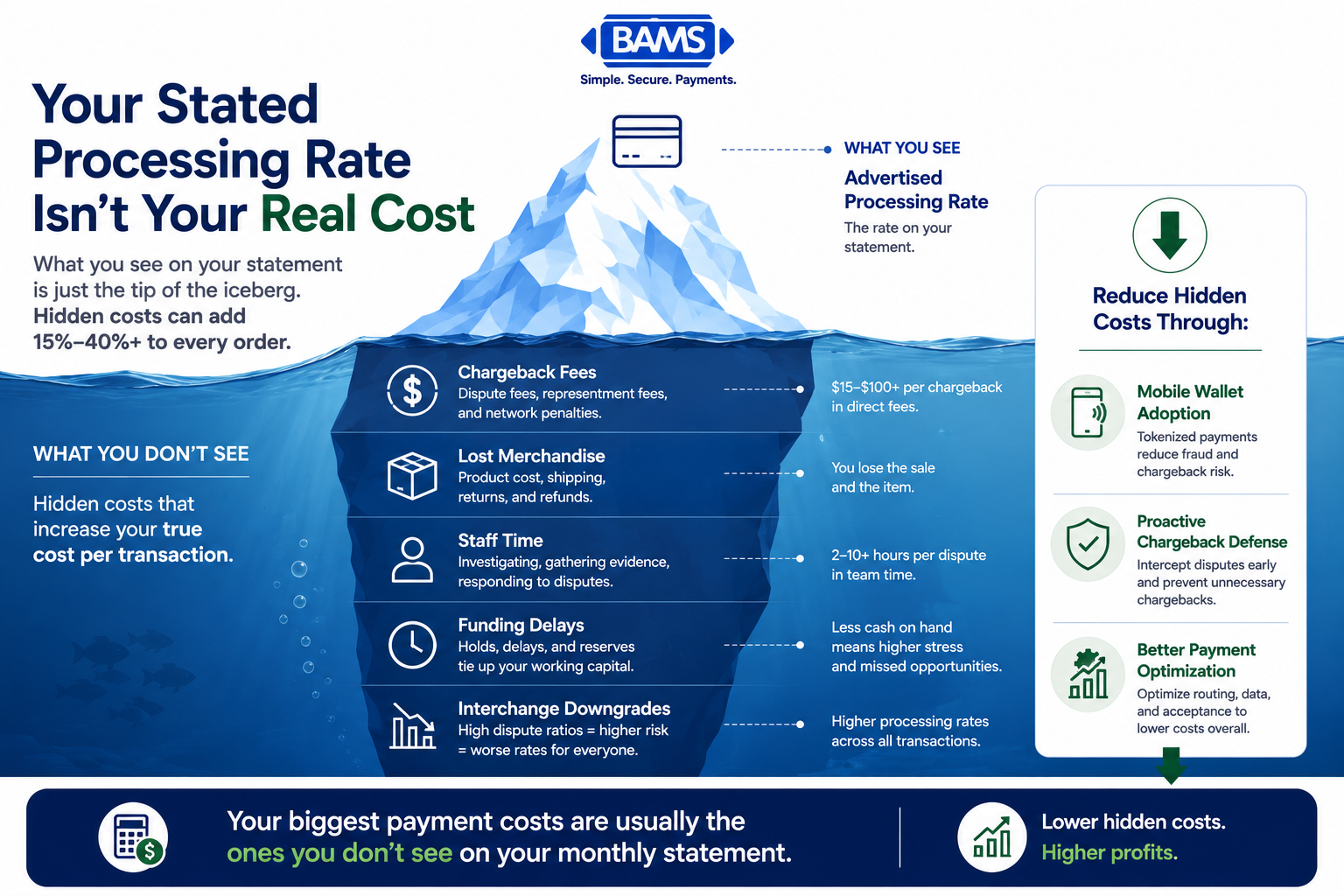 Professional fintech iceberg infographic showing the hidden costs behind payment processing, including chargeback fees, lost merchandise, staff time, funding delays, and interchange downgrades that increase a merchant's true cost per transaction.